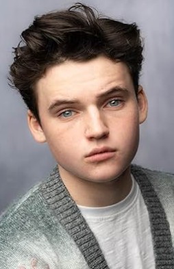 The legend of Zelda cast